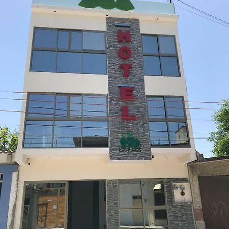 Hotel Los Pinos Centro Tuxtla Gutiérrez Extérieur photo
